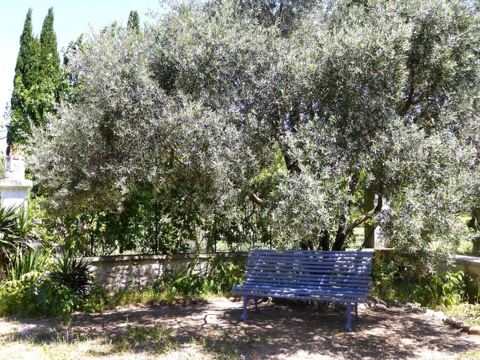Holiday Home With Private Terrace In Provence Monteux Exterior foto